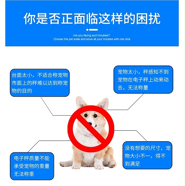 微信截图_20240225200644